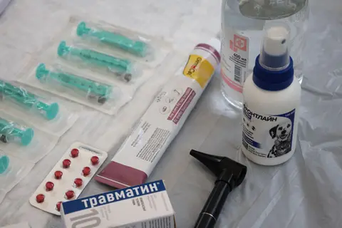 Infectología